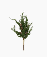 Load image into Gallery viewer, French Country Collections Cedar &amp; Pinecone Branch with Lights 60cm
