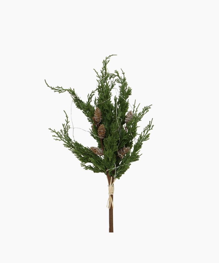 French Country Collections Cedar & Pinecone Branch with Lights 60cm