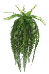 Flower Systems Potted Boston Fern 68cm