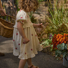 Load image into Gallery viewer, Nature Baby Valentina Dress- Red Floral
