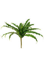 Flower Systems Bird's Nest Fern Bush 33cm