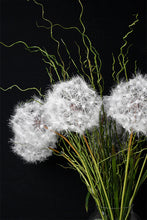 Load image into Gallery viewer, Flower Systems Dandelion Spray

