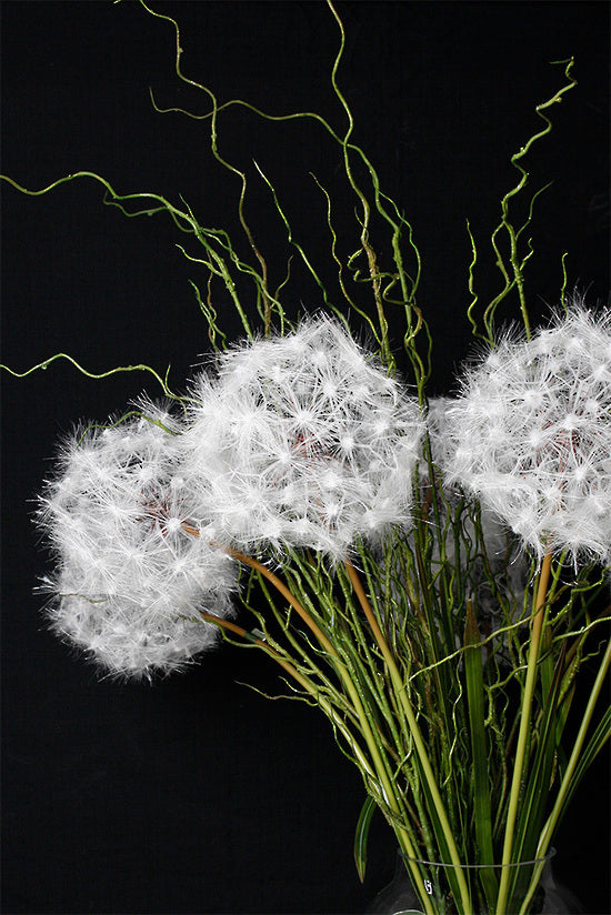 Flower Systems Dandelion Spray