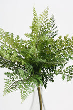 Load image into Gallery viewer, Flower Systems Hen &amp; Chicken  Fern Bush 33cm
