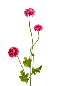 Flower Systems Pompom Sp 4x Beauty 59cm