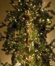 Load image into Gallery viewer, French Country Collections Cedar Evergreen Christmas Tree 180cm
