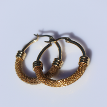 Load image into Gallery viewer, Fabuleux Vous Steel Me Stainless Steel Yellow Gold Mimi Earrings 30mm
