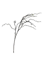 Load image into Gallery viewer, Flower Systems Willow Branch Brown 1m
