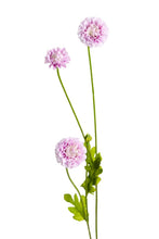 Load image into Gallery viewer, Flower Systems Pompom Sp x4 Lilac 59cm
