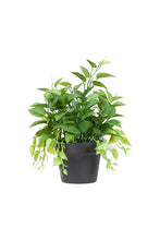 Load image into Gallery viewer, Flower Systems Golden Pothos Potted Plant 40.5cm
