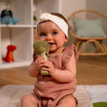 Load image into Gallery viewer, Little Big Friends Squeaker Rattle- Rex the Tyrannosaurus
