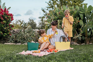 Hinza Large Cooler Bag Insert