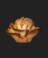 Load image into Gallery viewer, French Country Collections Coral Decorative Light Up
