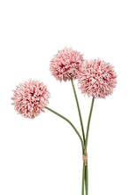 Load image into Gallery viewer, Flower Systems Mum Ball Bundle Dusky Pink 43cm
