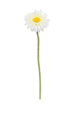 Load image into Gallery viewer, Flower Systems Single Mini Gerbera White
