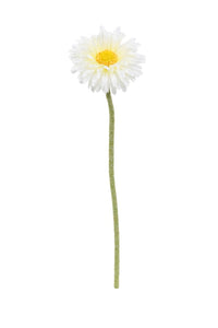 Flower Systems Single Mini Gerbera White