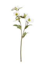 Load image into Gallery viewer, Flower Systems Helebore Spray 47cm Cream
