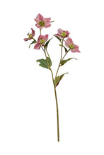 Load image into Gallery viewer, Flower Systems Hellebore Spray 47cm Mauve
