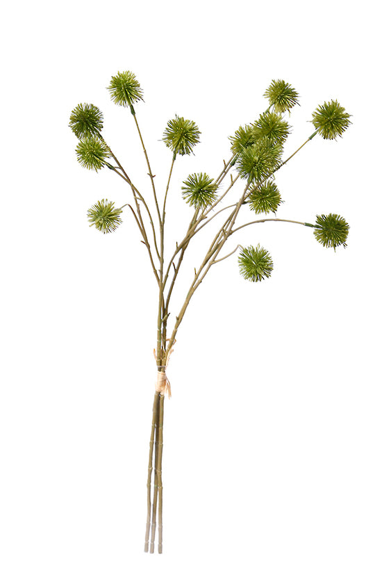 Flower Systems Sweet Chestnut Pod Bundle 3x Green
