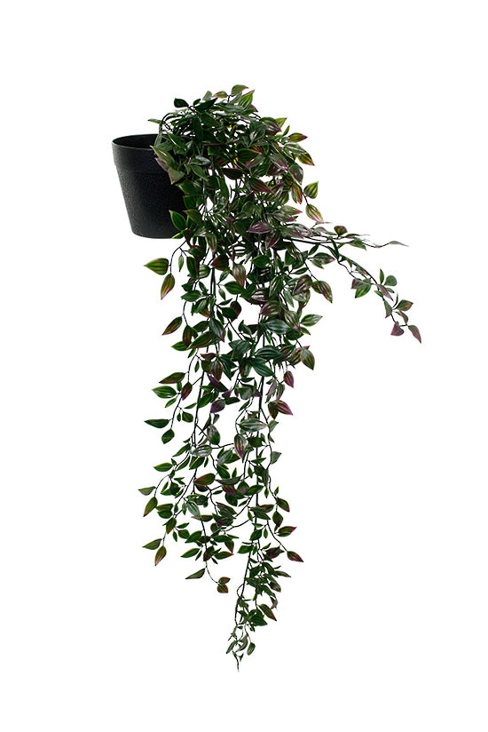 Flower Systems Potted Wandering Dew Bush 89cm