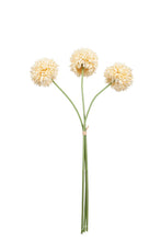 Load image into Gallery viewer, Flower Systems Mum Ball Bundle Cream 43cm
