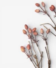 Load image into Gallery viewer, French Country Collections Burnished Berries Branch 70cm
