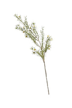 Load image into Gallery viewer, Flower Systems Wax Flower Spray 58cm Cream
