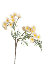Load image into Gallery viewer, Flower Systems Daisy Spray Cream 89cm

