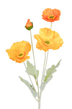 Load image into Gallery viewer, Flower Systems Iceland Poppy Spray 62cm- Light Orange

