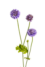 Load image into Gallery viewer, Flower Systems Pompom Sp x4 Purple 59cm
