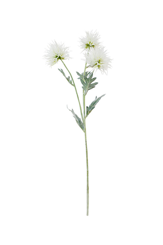 Flower Systems Alpine Flower Cream