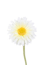 Load image into Gallery viewer, Flower Systems Single Mini Gerbera White
