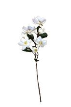 Load image into Gallery viewer, Flower Systems Legacy Magnolia Spray Cream 91cm
