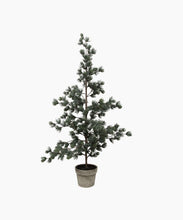Load image into Gallery viewer, French Country Collections Pine Tree Dusty Large
