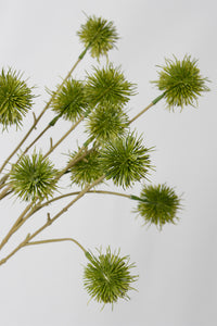 Flower Systems Sweet Chestnut Pod Bundle 3x Green