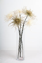 Load image into Gallery viewer, Flower Systems Spider Mum Stem Khaki Green 71cm
