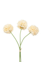 Load image into Gallery viewer, Flower Systems Mum Ball Bundle Cream 43cm
