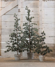 Load image into Gallery viewer, French Country Collections Pine Tree Dusty Medium
