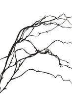 Load image into Gallery viewer, Flower Systems Willow Branch Brown 1m

