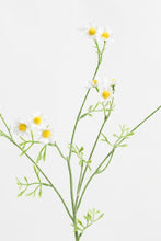 Load image into Gallery viewer, Flower Systems Mini Daisy Sp Yellow 68cm
