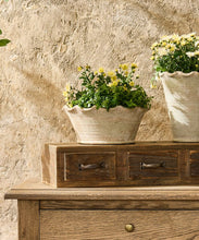 Load image into Gallery viewer, French Country Collections Wavy Planter Bowl
