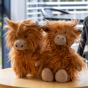 Lily & George Little Mac the Highland Cow