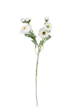 Load image into Gallery viewer, Flower Systems Ranunculus Spray 48cm White
