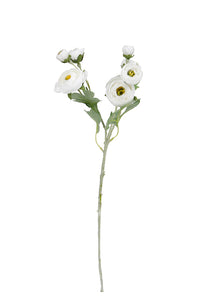 Flower Systems Ranunculus Spray 48cm White