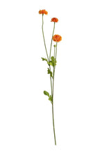 Load image into Gallery viewer, Flower Systems Pompom Sp x4 Orange 59cm
