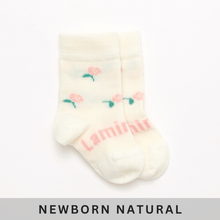 Load image into Gallery viewer, Lamington Merino Wool Crew Socks- Rosa
