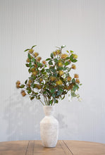 Load image into Gallery viewer, Flower Systems Leucospermum Spray Fall Grey 101cm
