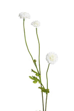 Load image into Gallery viewer, Flower Systems Pompom Sp x4 White 59cm

