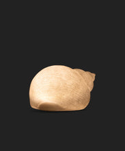 Load image into Gallery viewer, French Country Collections Snail Shell Decorative Light Up
