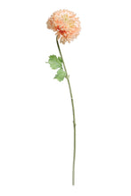 Load image into Gallery viewer, Flower Systems Zinnia Spray Peach 46cm
